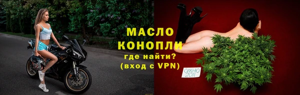 молекула духа Богородицк