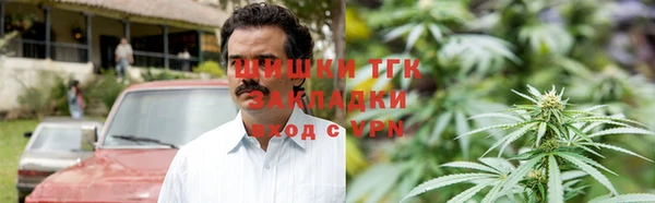 молекула духа Богородицк