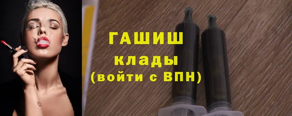 молекула духа Богородицк