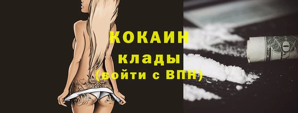 молекула духа Богородицк