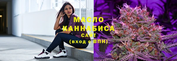 молекула духа Богородицк