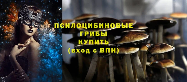 молекула духа Богородицк