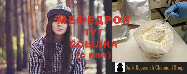 молекула духа Богородицк