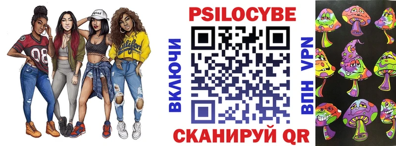 Псилоцибиновые грибы Psilocybe  Петропавловск-Камчатский 